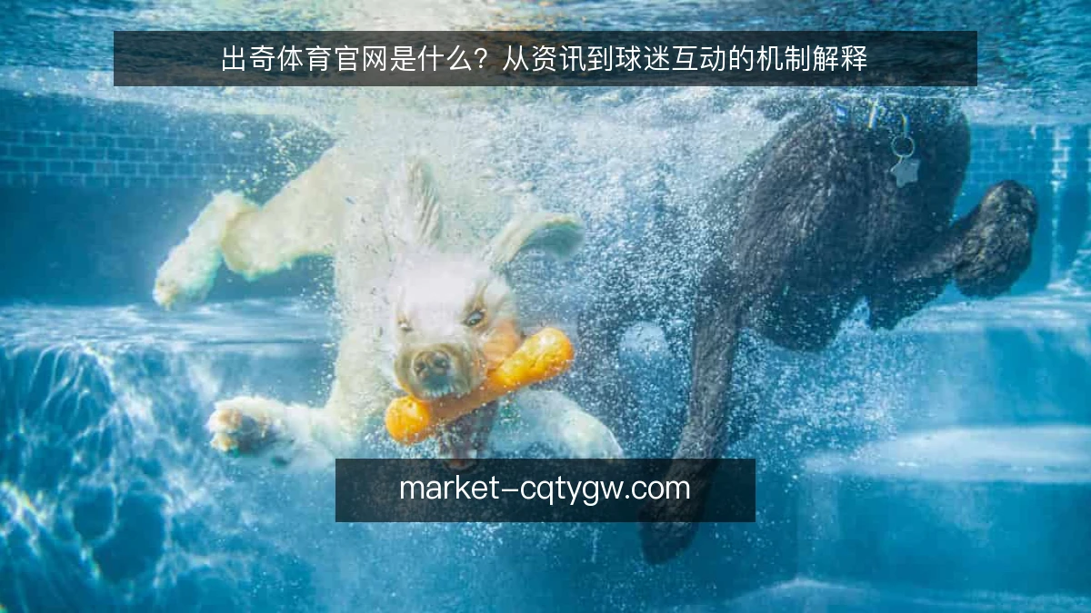 出奇体育官网是什么?从资讯到球迷互动的机制解释