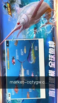 专家解读
