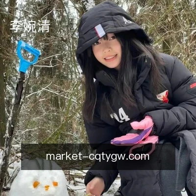 李婉清